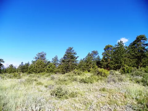 2017 Kendall Dr, Estes Park, CO 80517 photo 6
