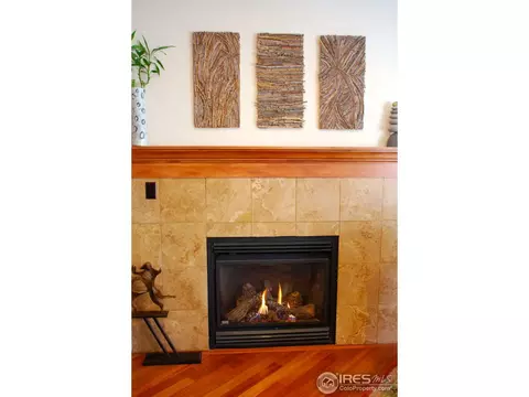 272 Spruce St #D, Boulder, CO 80302 photo 4