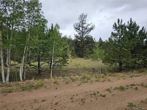 Huerfano Dr, Hartsel, CO 80449