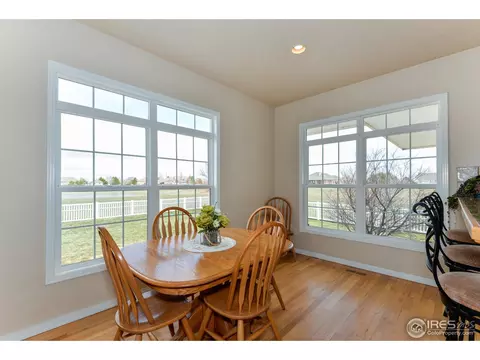 321 N Shore Cir, Windsor, CO 80550 photo 8