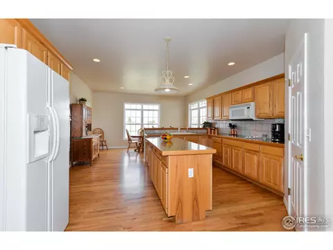 321 N Shore Cir, Windsor, CO 80550 photo 7
