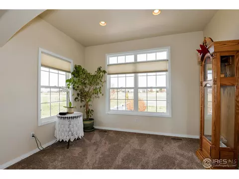 321 N Shore Cir, Windsor, CO 80550 photo 10