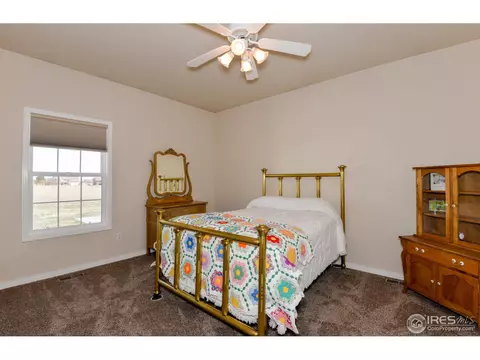 321 N Shore Cir, Windsor, CO 80550 photo 13