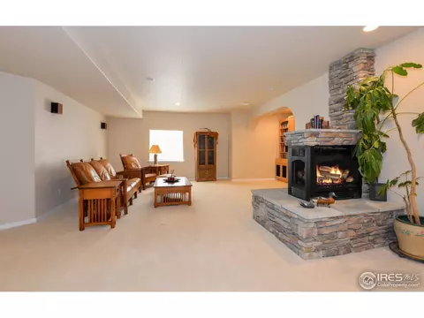 321 N Shore Cir, Windsor, CO 80550 photo 17