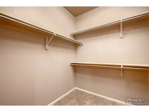 6352 Spring Valley Rd, Timnath, CO 80547 photo 15