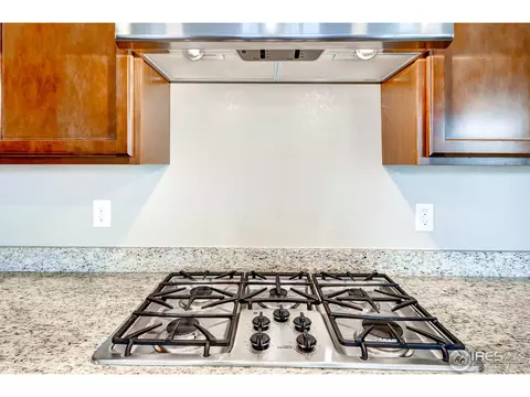 6352 Spring Valley Rd, Timnath, CO 80547 photo 10