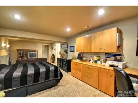 113 Bayside Cir, Windsor, CO 80550 photo 24