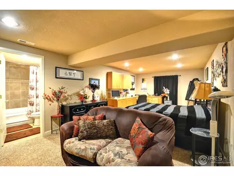 113 Bayside Cir, Windsor, CO 80550 photo 23