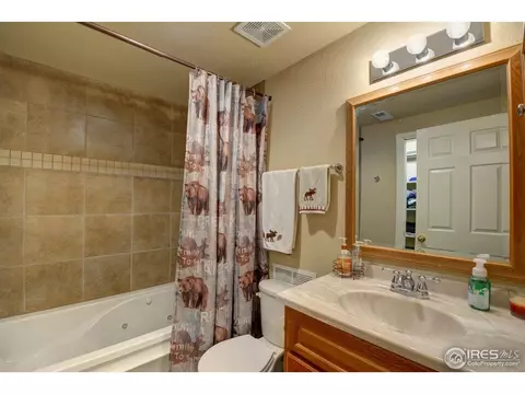113 Bayside Cir, Windsor, CO 80550 photo 25