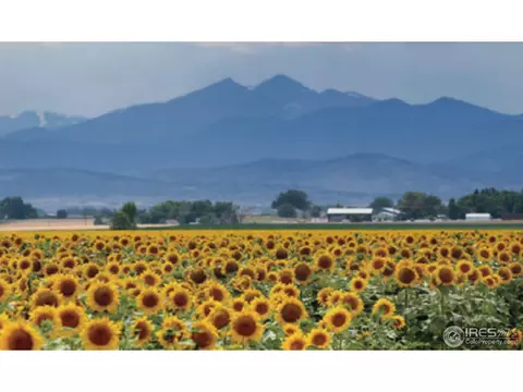 879 Wagon Bend Rd, Berthoud, CO 80513 photo 19