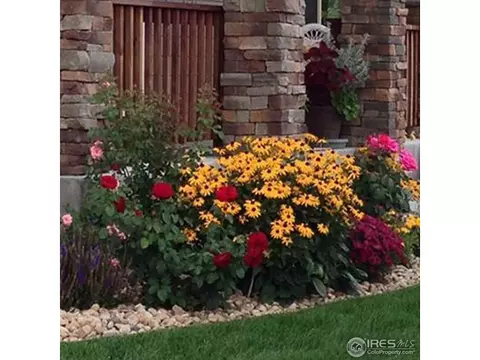 879 Wagon Bend Rd, Berthoud, CO 80513 photo 23