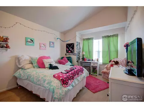 108 Bayside Cir, Windsor, CO 80550 photo 14