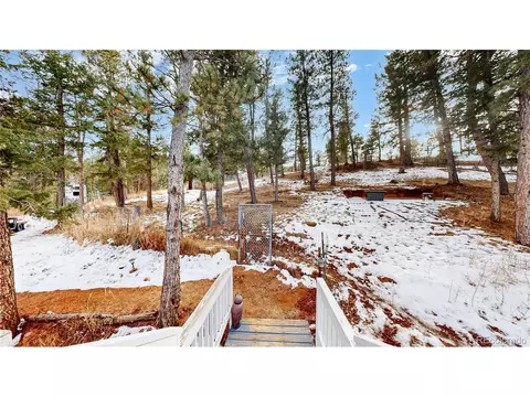 Exterior - 33988 Jenifer Rd, Pine, CO 80470 photo 7 of 8