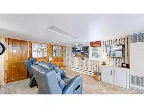 Living - 33988 Jenifer Rd, Pine, CO 80470 photo 4 of 5