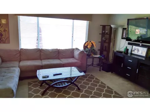 13159 Ivanhoe St, Thornton, CO 80602 photo 10