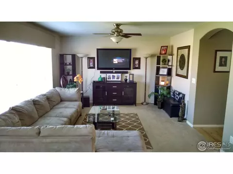 13159 Ivanhoe St, Thornton, CO 80602 photo 9
