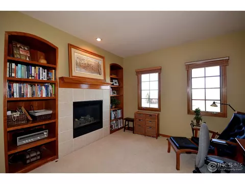 331 N Shore Cir, Windsor, CO 80550 photo 15