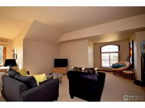 331 N Shore Cir, Windsor, CO 80550 photo 23