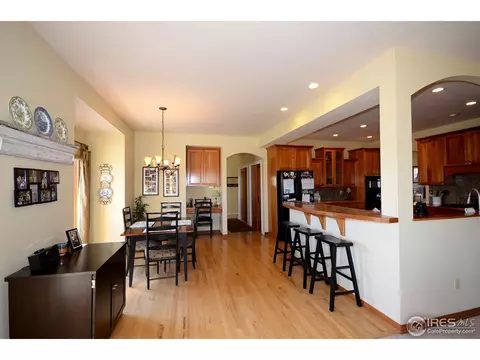 331 N Shore Cir, Windsor, CO 80550 photo 10