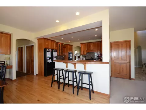 331 N Shore Cir, Windsor, CO 80550 photo 11
