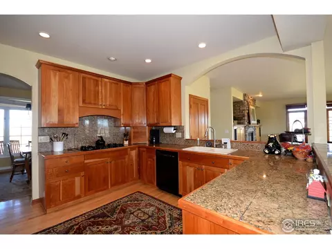 331 N Shore Cir, Windsor, CO 80550 photo 12