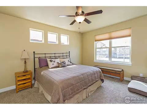 2080 Vineyard Dr, Windsor, CO 80550 photo 14