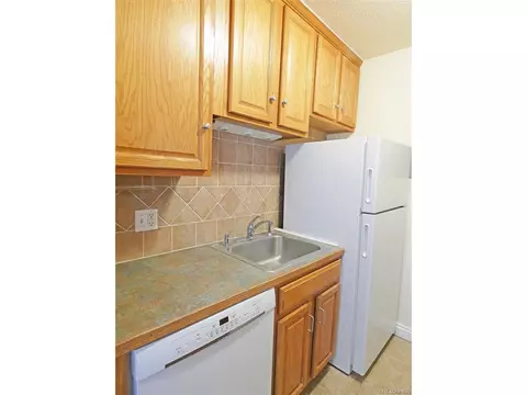 733 E 2nd Ave #101, Denver, CO 80203 photo 9