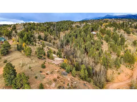 72 Princess Way, Cripple Creek, CO 80813