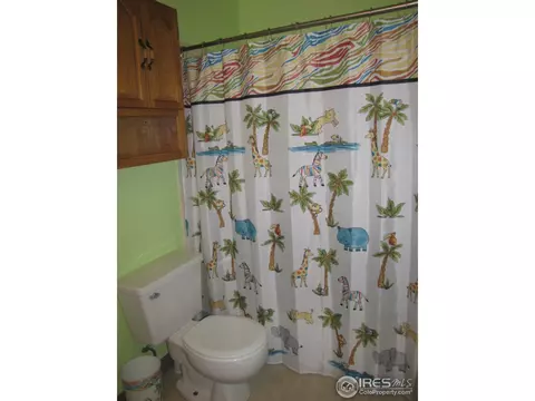 1224 Aspen Dr, Berthoud, CO 80513 photo 13