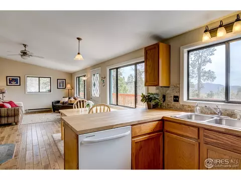 57 Forest Star Dr, Black Hawk, CO 80422 photo 8