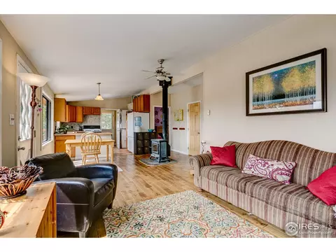 57 Forest Star Dr, Black Hawk, CO 80422 photo 7