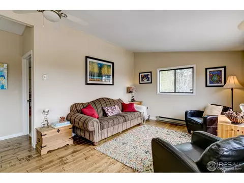 57 Forest Star Dr, Black Hawk, CO 80422 photo 9