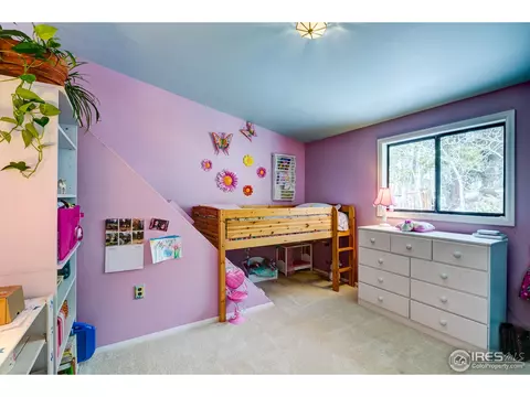 57 Forest Star Dr, Black Hawk, CO 80422 photo 14