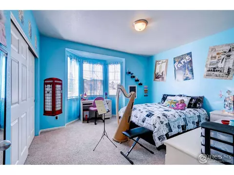 591 Edenbridge Dr, Windsor, CO 80550 photo 19