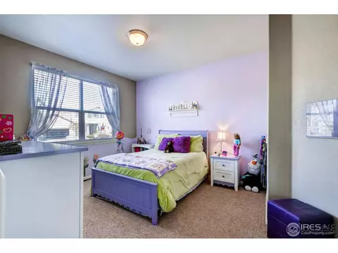 591 Edenbridge Dr, Windsor, CO 80550 photo 20