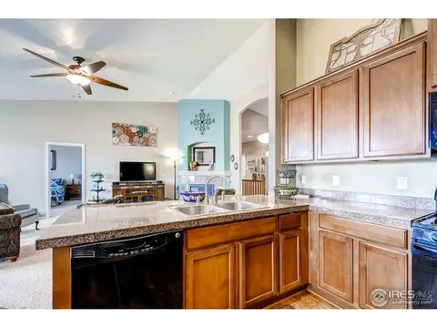 591 Edenbridge Dr, Windsor, CO 80550 photo 14