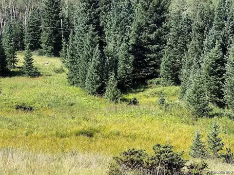 3141 Forbes Loop Rd, Fort Garland, CO 81133