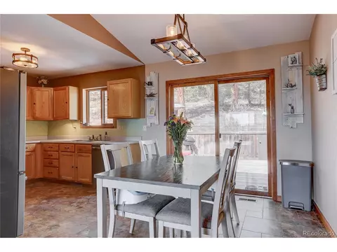 12317 S Cindy Ave, Pine, CO 80470 photo 10