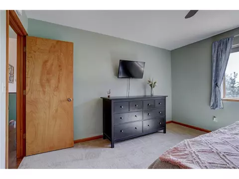 12317 S Cindy Ave, Pine, CO 80470 photo 16
