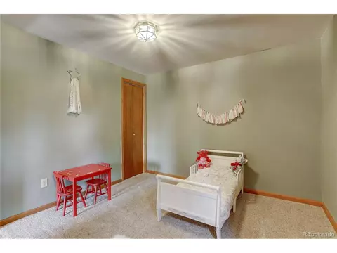 12317 S Cindy Ave, Pine, CO 80470 photo 21