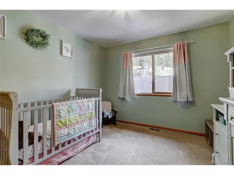 12317 S Cindy Ave, Pine, CO 80470 photo 23