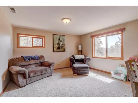 12317 S Cindy Ave, Pine, CO 80470 photo 18