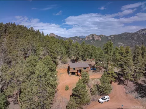 12317 S Cindy Ave, Pine, CO 80470 photo 3