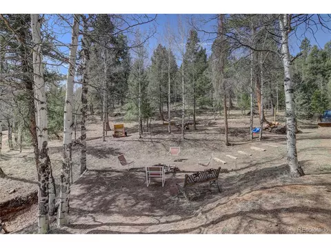 12317 S Cindy Ave, Pine, CO 80470 photo 30