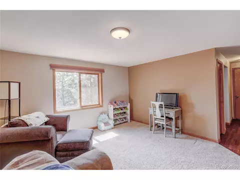 12317 S Cindy Ave, Pine, CO 80470 photo 19