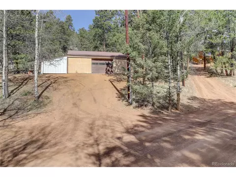12317 S Cindy Ave, Pine, CO 80470 photo 35