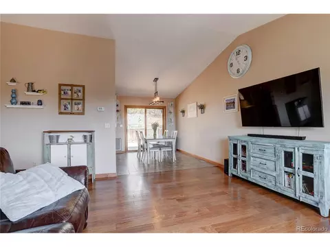12317 S Cindy Ave, Pine, CO 80470 photo 8