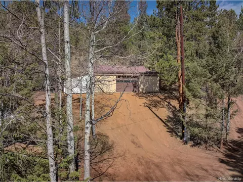 12317 S Cindy Ave, Pine, CO 80470 photo 2