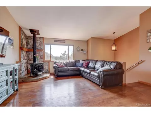 12317 S Cindy Ave, Pine, CO 80470 photo 5