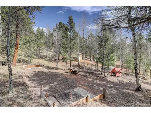 12317 S Cindy Ave, Pine, CO 80470 photo 28